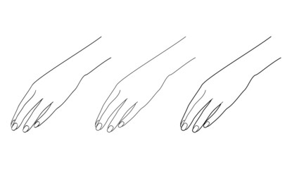 Obraz premium Graceful female hand. Gestures. Line drawing illustration
