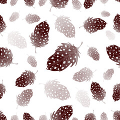 Seamless pattern with thrush bird feathers on a white background. Vector graphics.