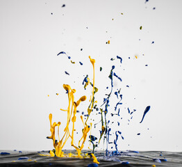 Colourful Paint Splash - White Background