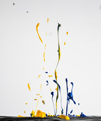 Colourful Paint Splash - White Background