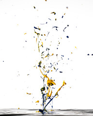Colourful Paint Splash - White Background