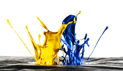 Colourful Paint Splash - White Background