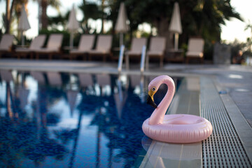 flamingo pool float © abelena