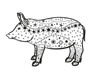 Pig on white. Hand drawn animal with intricate patterns on isolated background. Design for spiritual relaxation for adults. Image for banners, flyers and textiles. Zen art. Zentangle