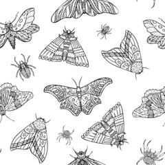 Seamless pattern of night butterflies and spiders. Hand drawn illustration