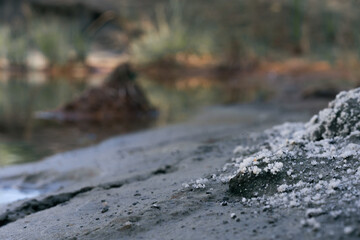 evaporite minerals on the sand at the lake