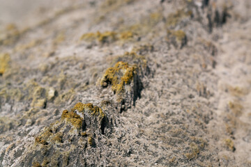 evaporite minerals on the sand at the lake