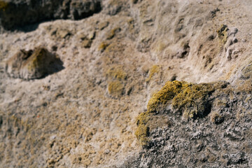 evaporite minerals on the sand at the lake