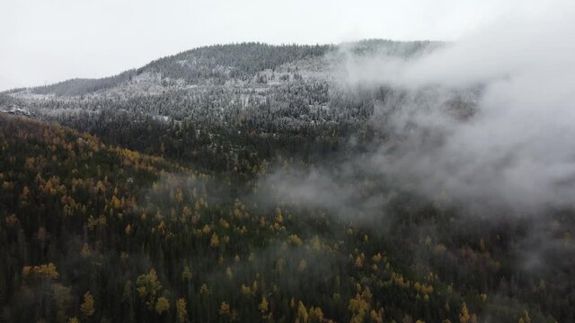 Autumn to Winter Misty Mountainrange Snow 4K Drone Trees Norway