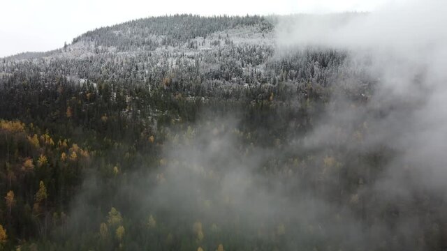 Through the Mist Norwegian Snowy Mountain Range 4k Drone forest line