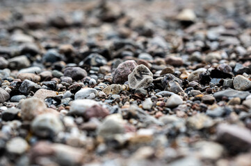 Detailaufnahme von einem Steinstrand II