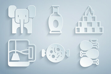 Set Chicken tikka masala, Yagna, Cup of tea with tea bag, Tandoori chicken, Indian vase and Elephant icon. Vector