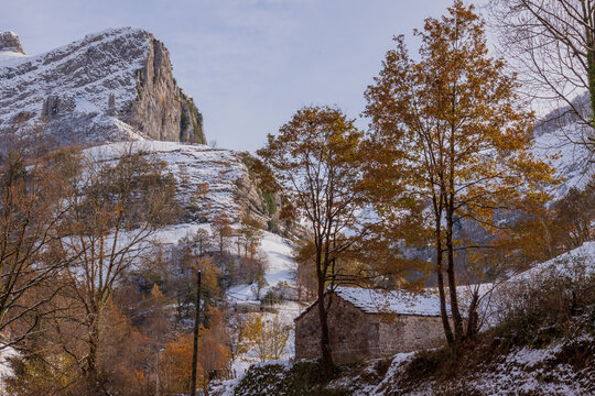 First snow. Autumn in the Valles Pasiegos, Cantabria, Spain. 