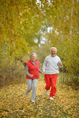 fit senior couple running in park