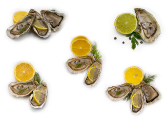 oyster with lemon, greens isolated on white background