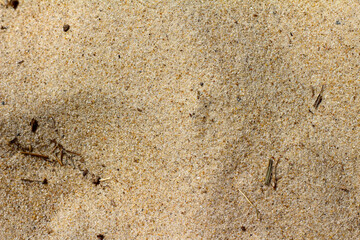 Sand texture for background, focus on beach sand, soft beach sand