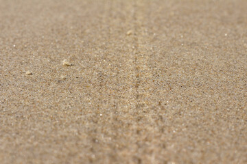 Fototapeta na wymiar Marcas de pneu na areia da praia, areia com marcas de pneu, marcas de pneu na areia