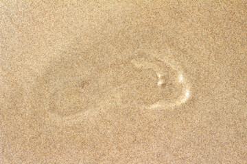 Fototapeta na wymiar Pegada na areia da praia. pegada na areia molhada. areia com marca de pé. uma pessoa passou aqui