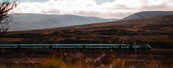 Scottish Nature and Landscape
