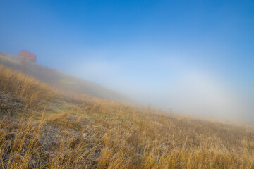 Autumn landscape in the early morning. Fog-covered expanses through which the first rays of the rising sun pass. Trees and hills in the fog. Dawn on a cold autumn morning.