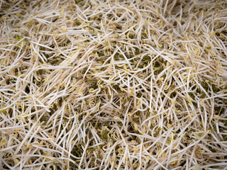 もやしの計り売り