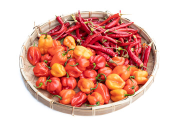 Red peppers and chilis