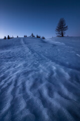 Obraz premium Shapes created by the wind in the snow in a blue morning in Cortina d'Ampezzo, in the italian dolomites