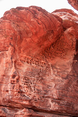 Overton, Nevada, USA - February 24, 2010: Valley of Fire. Nature shaped bird head image in red rock with neck full of line potholes. Closeup under gray sky.