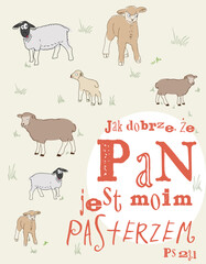 Owce Pan mym pasterzem Ps 23 - obrazy, fototapety, plakaty