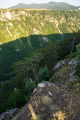 An attractive summer scene on a sunny day. Seasonal background. Discover the beauty of earth. Concept of outdoor recreation and relaxation.