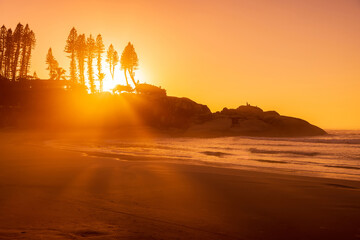 Warm sunrise on ocean with waves and rocks with trees. Joaquina beach in Brazil
