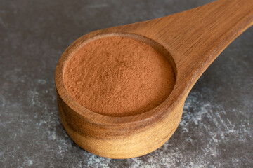 Cocoa Powder in a Wood Scoop