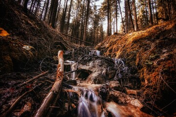waterfall in the forest