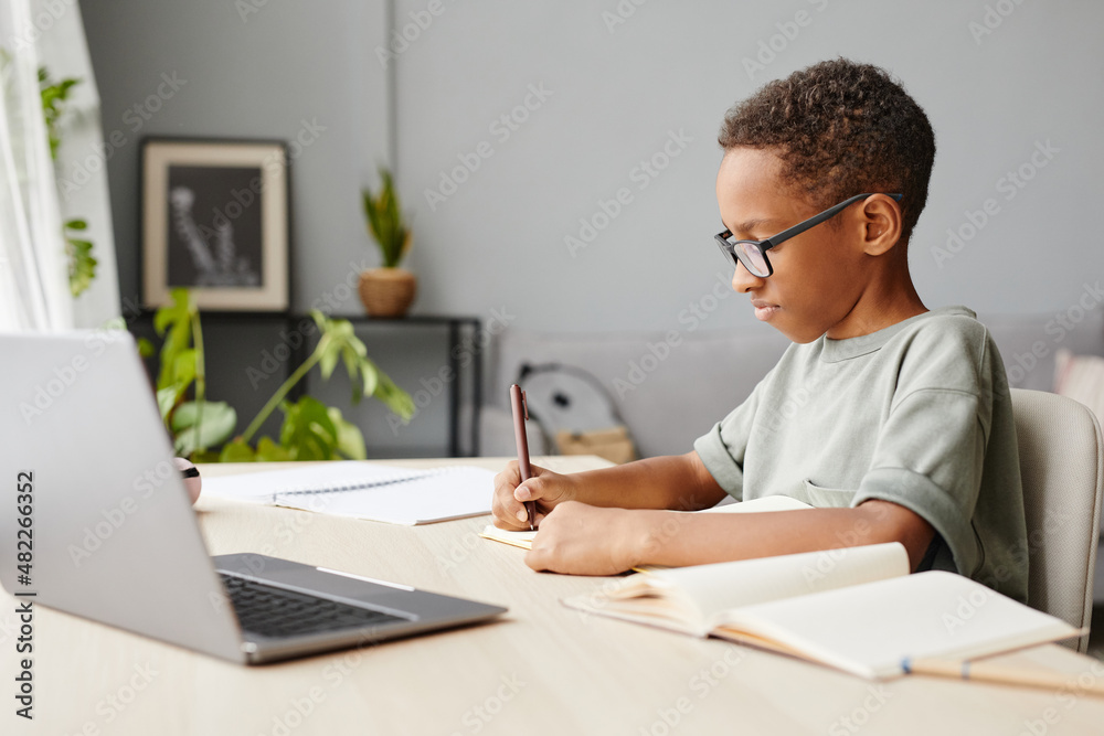 Poster Side view portrait of African-American boy studying at home with laptop open, homeschooling concept