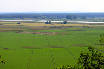 Obraz premium The agricultural landscape of a large lowland European river - the Oder.