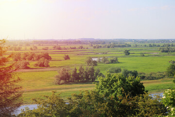 Fototapeta na wymiar The landscape of a large lowland river in Europe - the Oder.