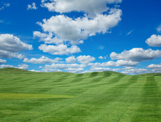 A field with green juicy trimmed grass and a blue sky with clouds