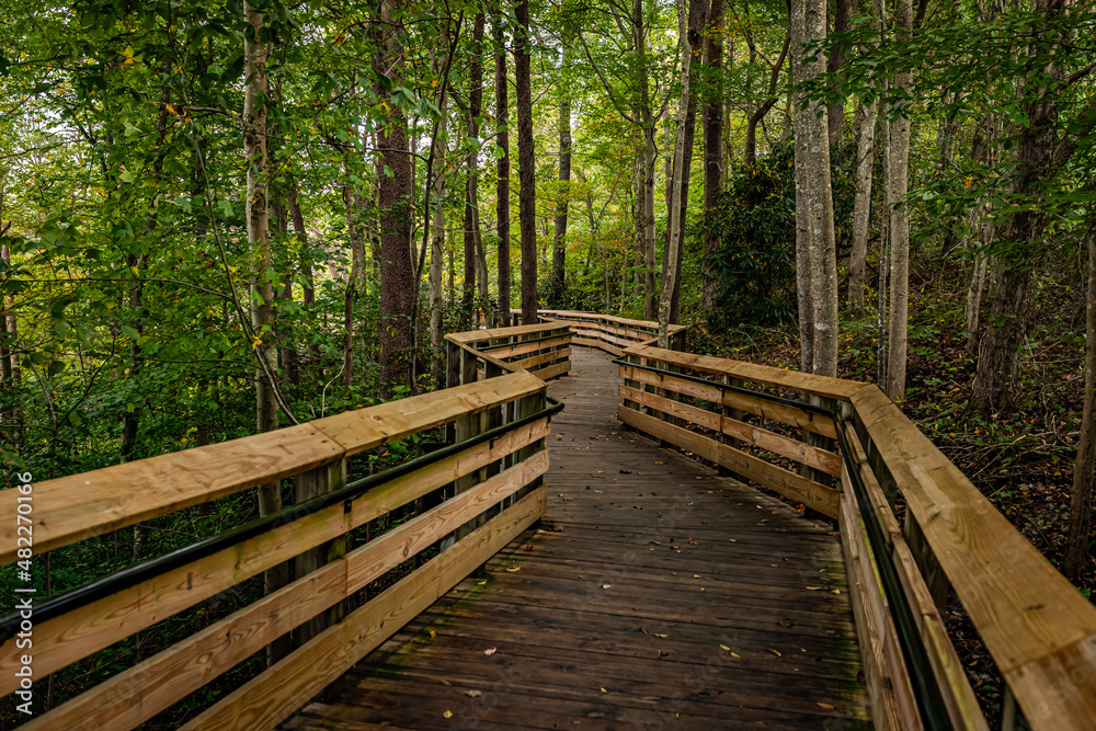 Wall mural boardwalk nature trail new river gorge west virginia