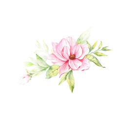 Fototapeta na wymiar Magnolia Flower Watercolor Illustration, Magnolia Bouquet, Pink Magnolia Branch, Watercolor Floral Illustration isolated on white
