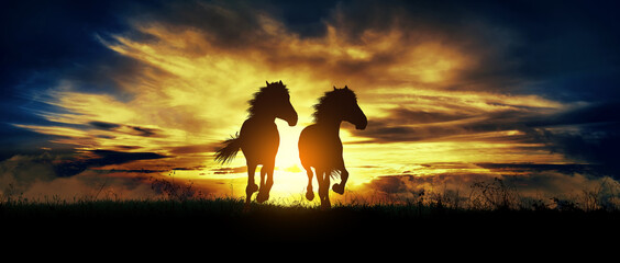 two free horses run at sunset © ginettigino
