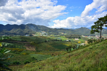 Obraz premium Spring Formal Garden. Beautiful garden of colorful flowers.Landscaped Formal Garden. Park. Beautiful Garden 