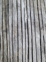 Fototapeta premium stone wall texture