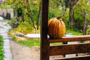 pumpkin on the porch in autumn on a rainy day