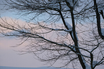 Ski resort at night in Niigata, 2022/1/23