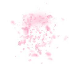 Sakura petals falling down. Romantic pink flowers explosion. Flying petals on white square background. Love, romance concept. Emotional wedding invitation.