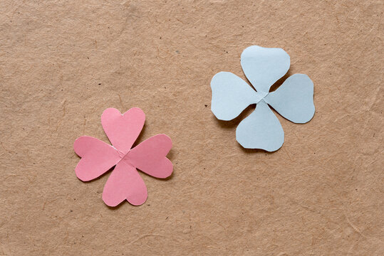 Two Abstract Or Stylized Paper Flowers On Plain Brown Paper