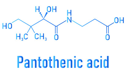 Vitamin B5 or pantothenic acid, pantothenate, molecule. Skeletal formula.