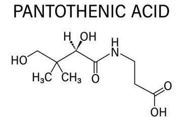 Vitamin B5 or pantothenic acid, pantothenate, molecule. Skeletal formula.