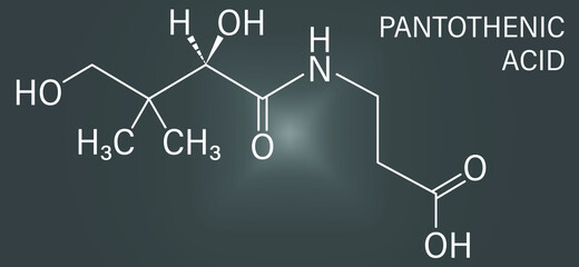 Vitamin B5 or pantothenic acid, pantothenate, molecule. Skeletal formula.