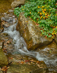 Autumn Cascade in West Virginia